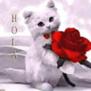 Meet your Posher, Alan